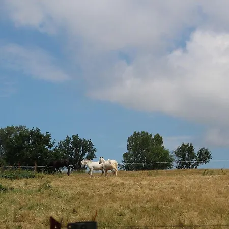 Ferme Du Xixe Avec Cheminee, Pres Des Gorges Du Doulon - Fr-1-582-227 *