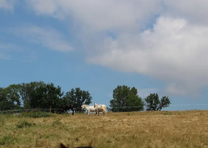 Ferme Du Xixe Avec Cheminée, Près Des Gorges Du Doulon - Fr-1-582-227 *